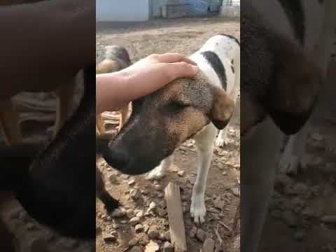 Titoon en vidéo 1