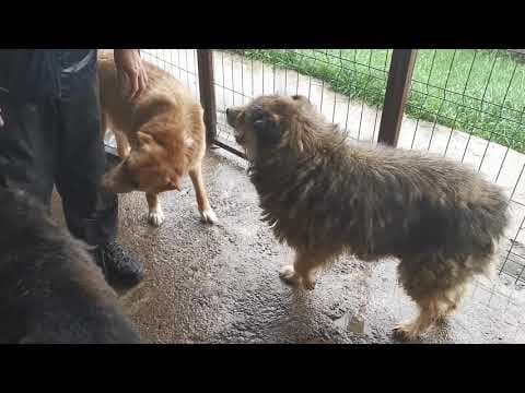 Praline en vidéo 1