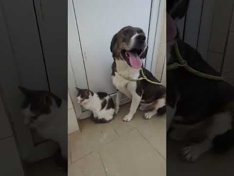Bunker en vidéo 6