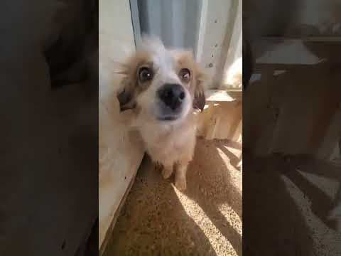 Abbie en vidéo 1