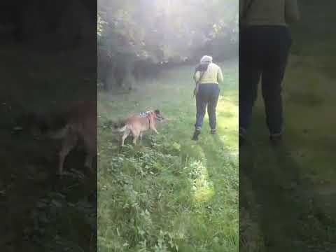 Earley en vidéo 1