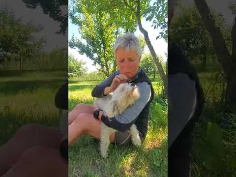 Nami en vidéo 4