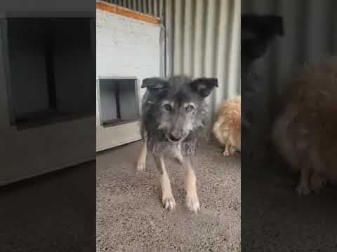 Alati en vidéo 1
