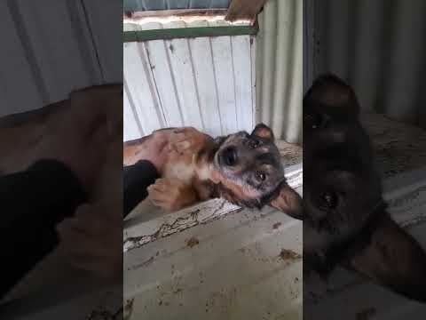 Irma en vidéo 3