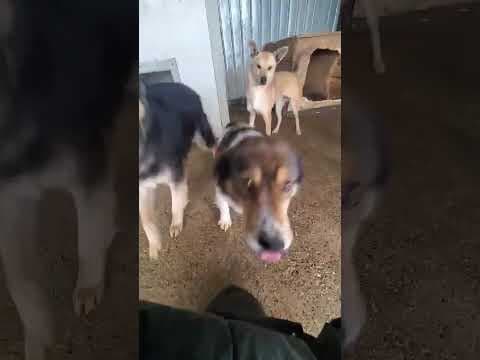 Sadjy en vidéo 2