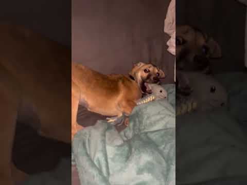 Ayvi en vidéo 8