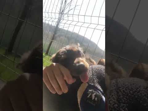 Sami en vidéo 3