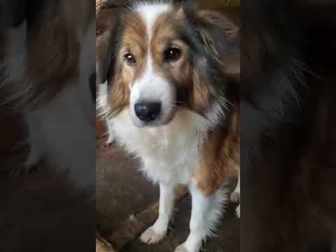 Anhour en vidéo 1