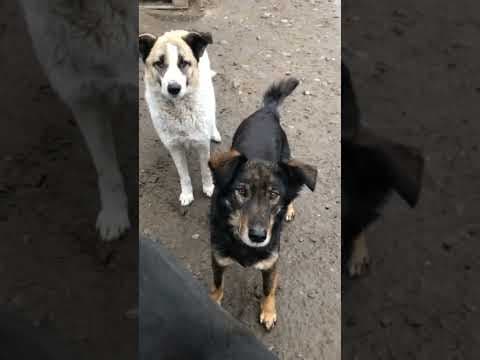 Florentina en vidéo 3