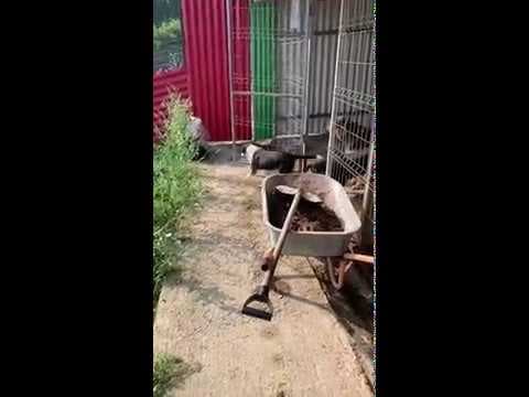 Narco en vidéo 4