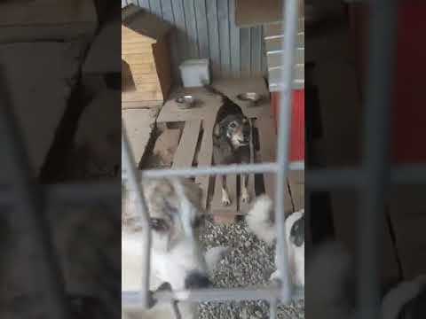 Hermes en vidéo 2