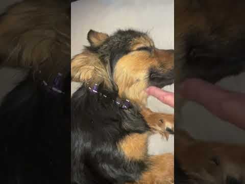 Pia en vidéo 5