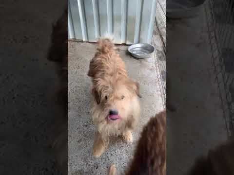 Moon en vidéo 2