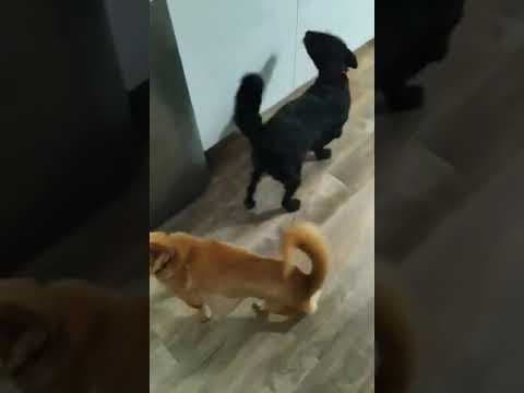 Artea en vidéo 7