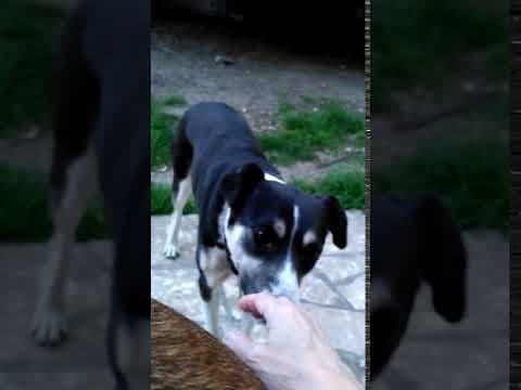 Salome en vidéo 7