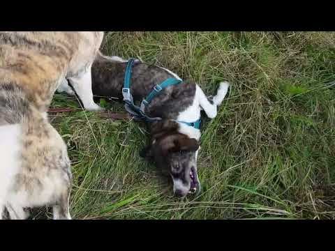 Bunker en vidéo 12