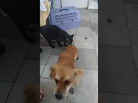Britney en vidéo 1