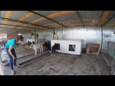 ** Bayou ** 4 Ans De Box en vidéo 2