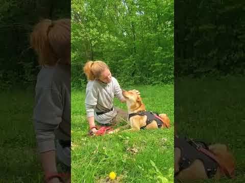 Silco en vidéo 4