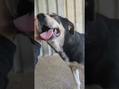 Magica en vidéo 5