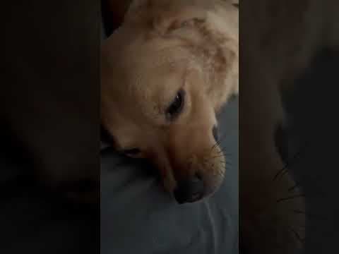Bluette en vidéo 3
