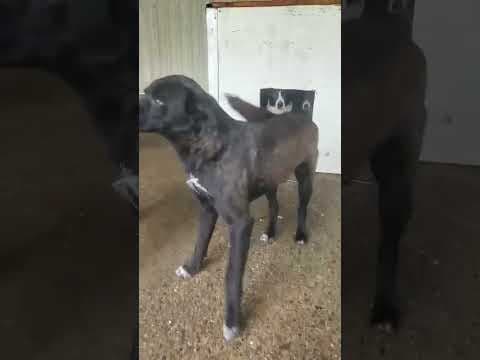 Edgar en vidéo 1