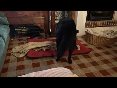 Patitza en vidéo 4