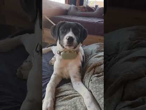 Laya en vidéo 3