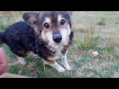 Polochon en vidéo 4