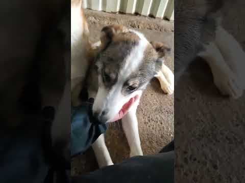 Ezra en vidéo 4