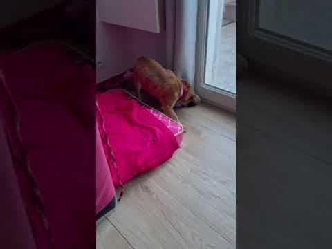 Artea en vidéo 8