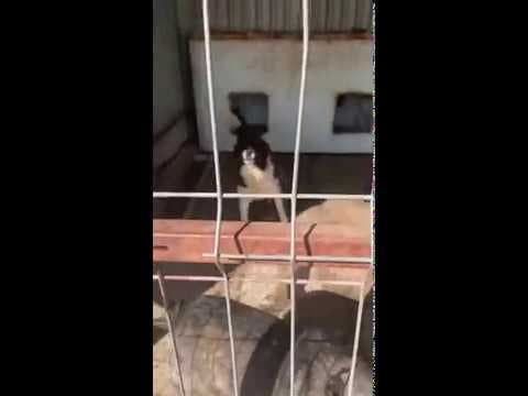 Eragon en vidéo 4