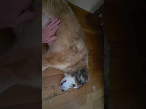 Fantine en vidéo 5