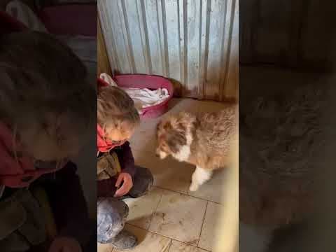 Anhour en vidéo 2