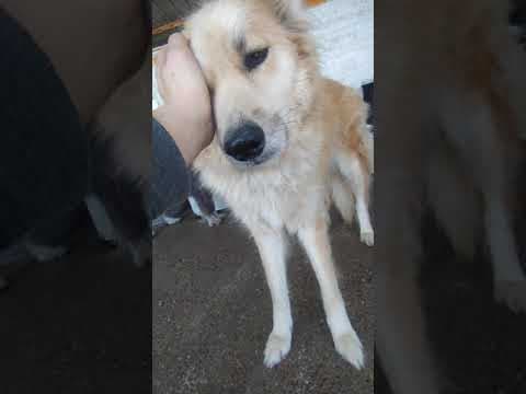 Demetra en vidéo 1