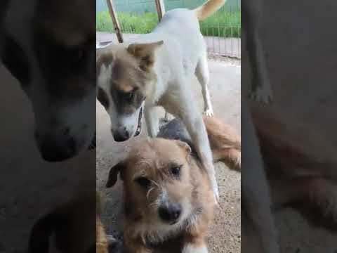 Milen en vidéo 1