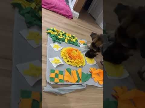 Lola en vidéo 10
