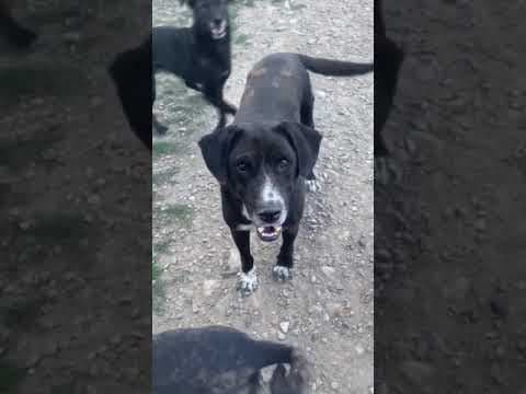 Florentina en vidéo 2