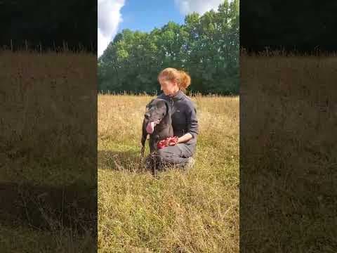 Neagra en vidéo 3