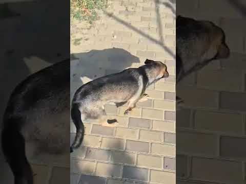 Zelia en vidéo 3
