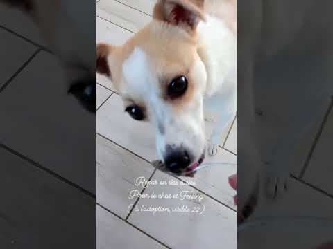 Feeling en vidéo 3