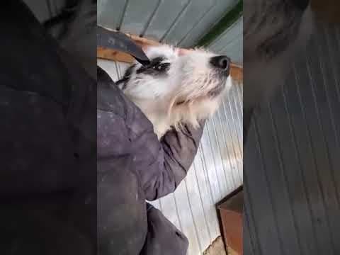 Aventura en vidéo 2