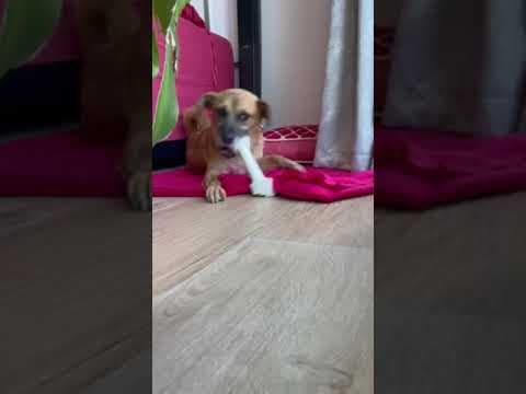 Artea en vidéo 10