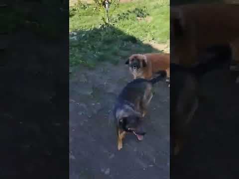 Zelia en vidéo 2