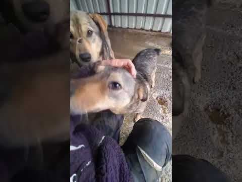 Mouchou en vidéo 5