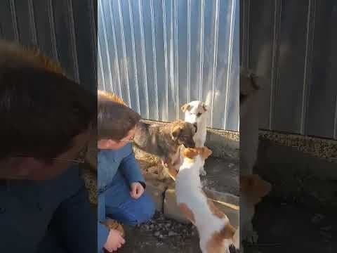 Yellow en vidéo 6