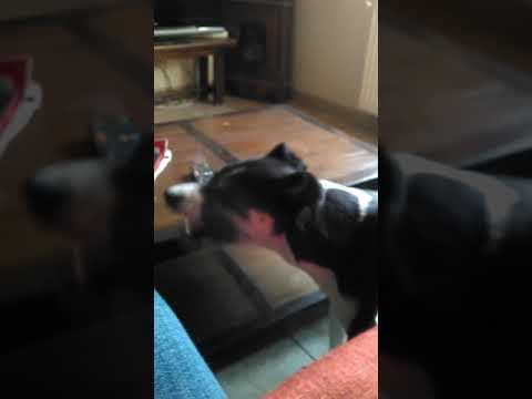Salome en vidéo 4