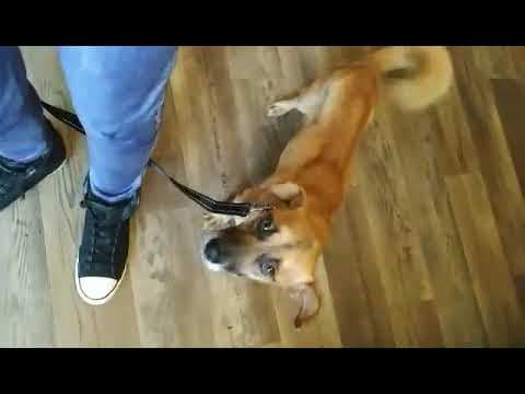Artea en vidéo 5