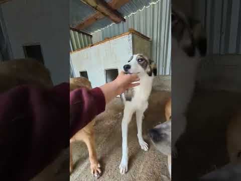 Ezra en vidéo 2
