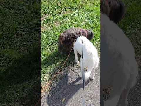 Aventura en vidéo 6